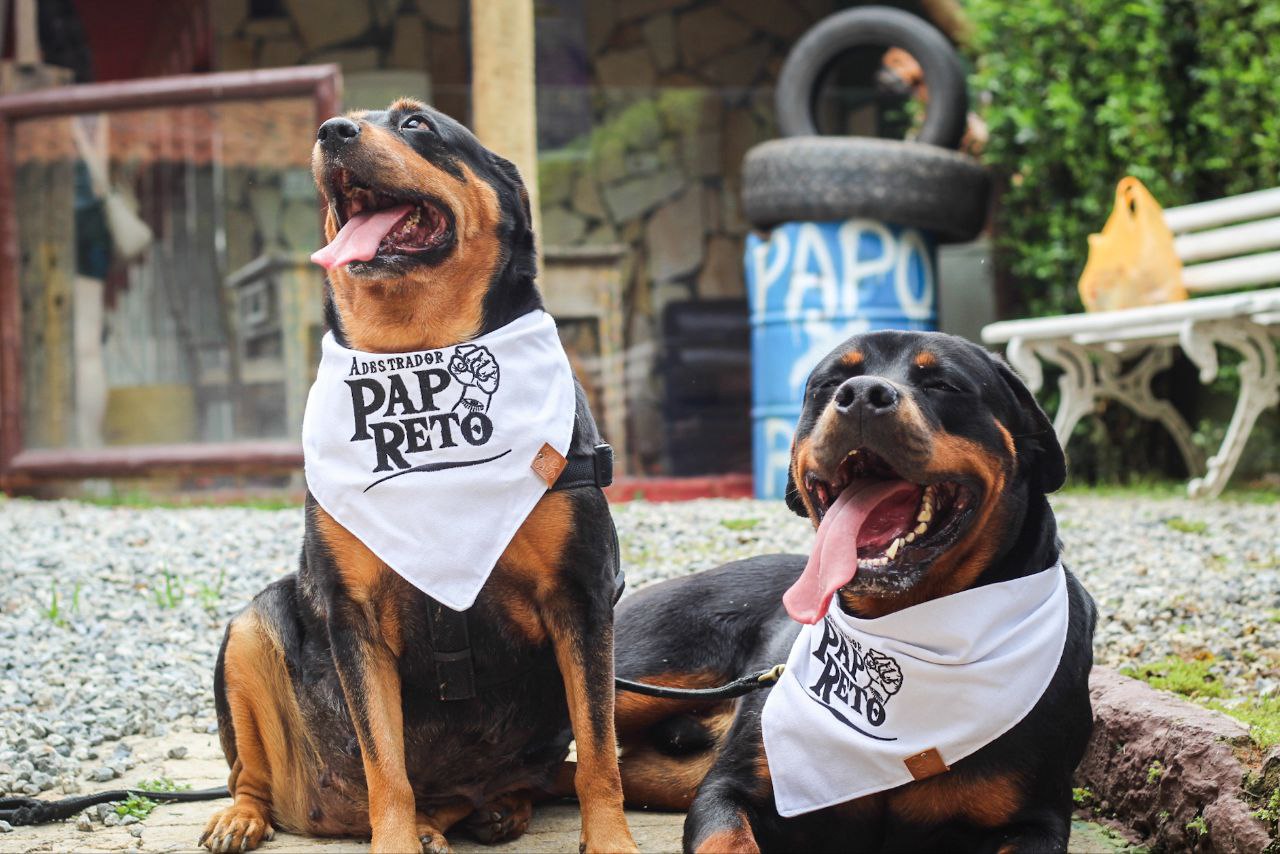 Day use para cães