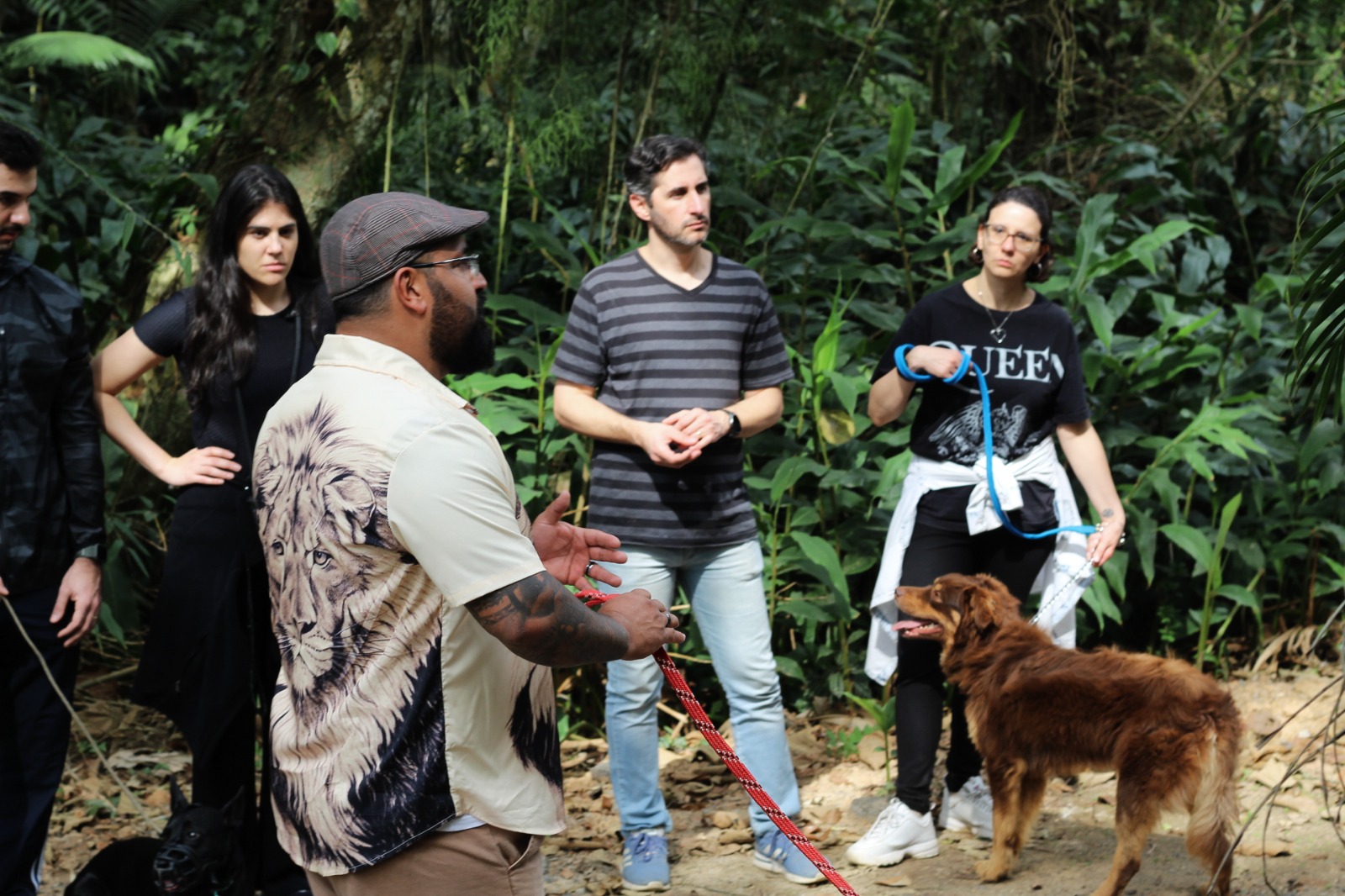 Obediência, passeios, terapia canina e reabilitação de cães