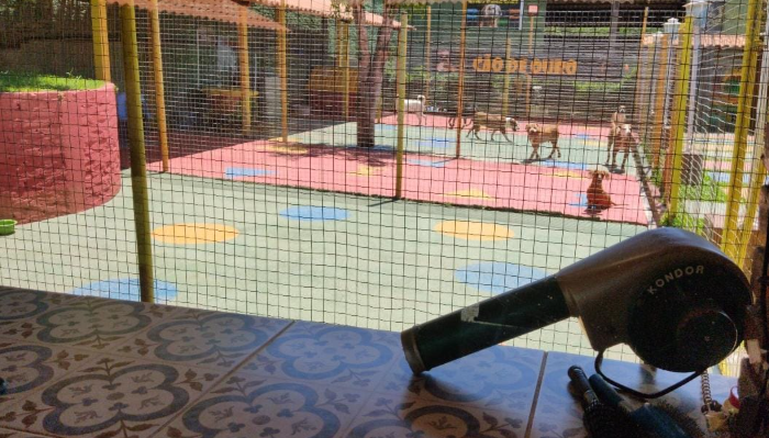Área de recreação e banho do hotel para cães em Cotia com piso colorido