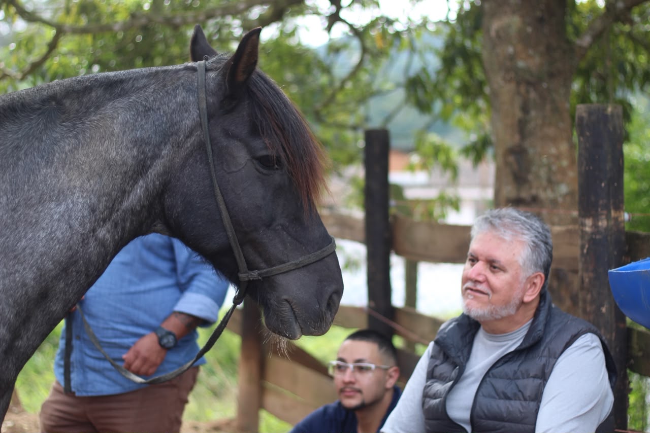 Cavalgadas terapêuticas
